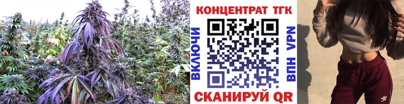 гидра ONION Мышкин Дистиллят ТГК Wax цена
