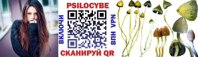 Галлюциногенные грибы Magic Shrooms  как найти закладки  Мышкин 